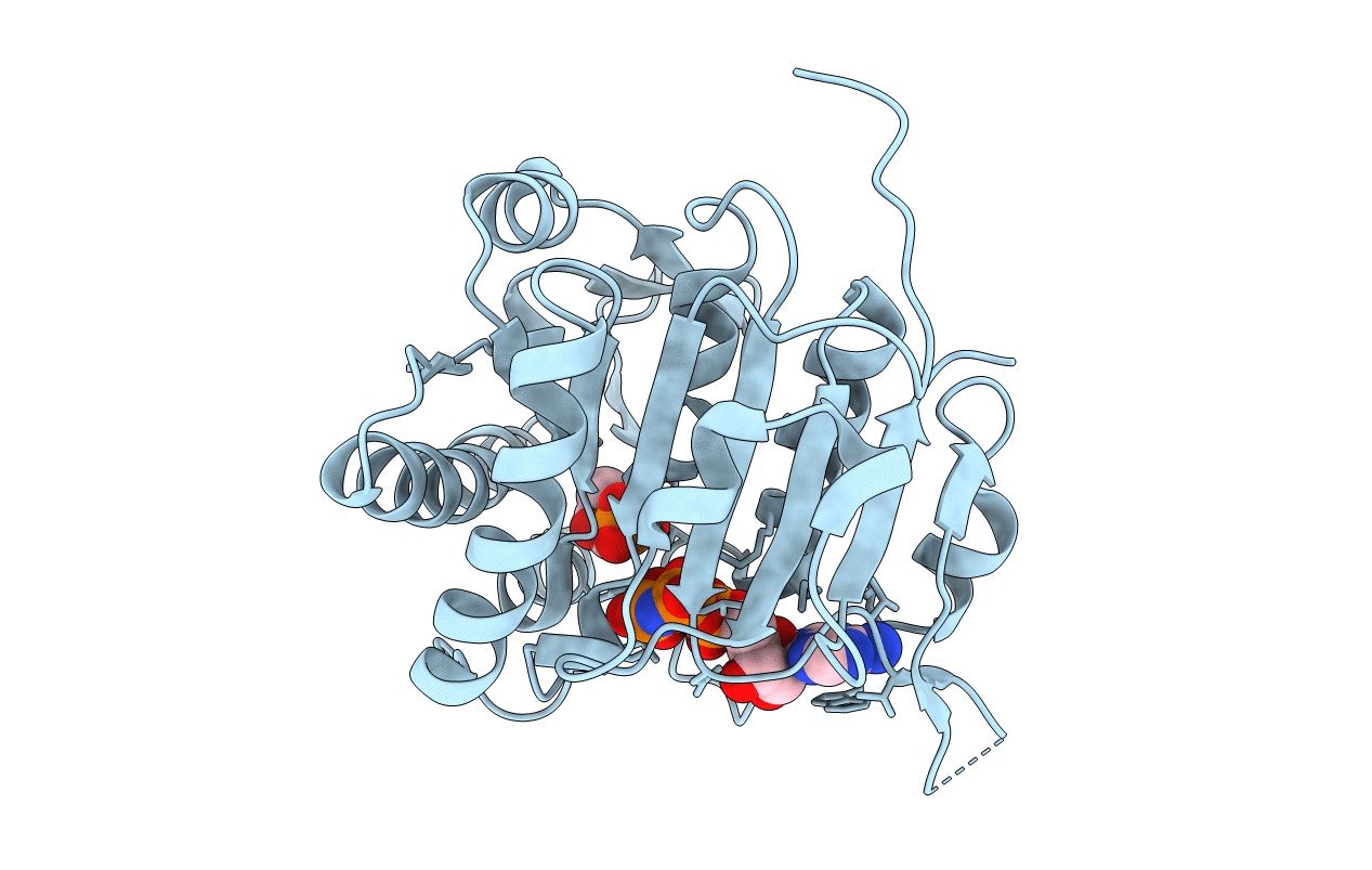 3D41 image