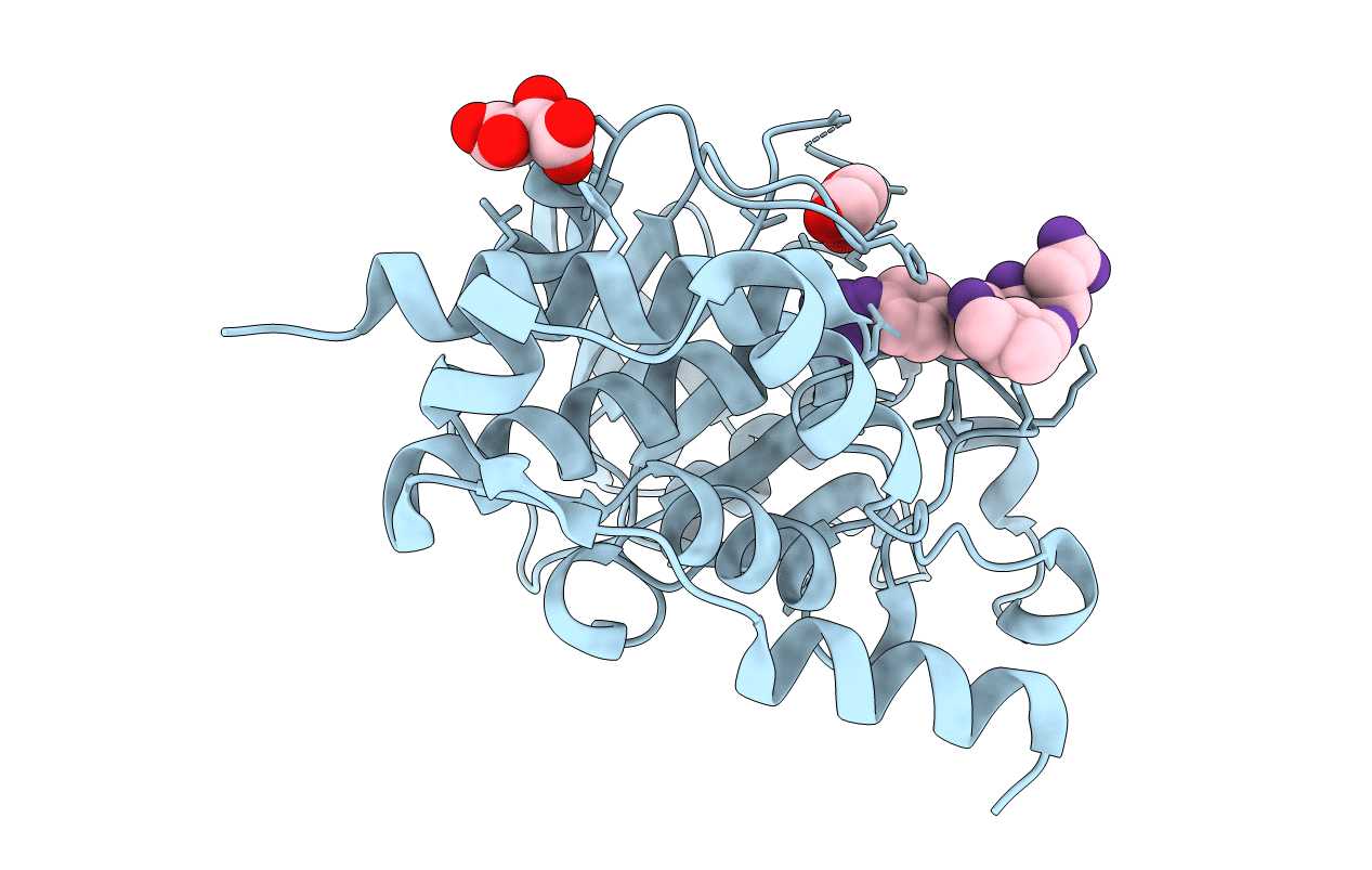 3D42 image