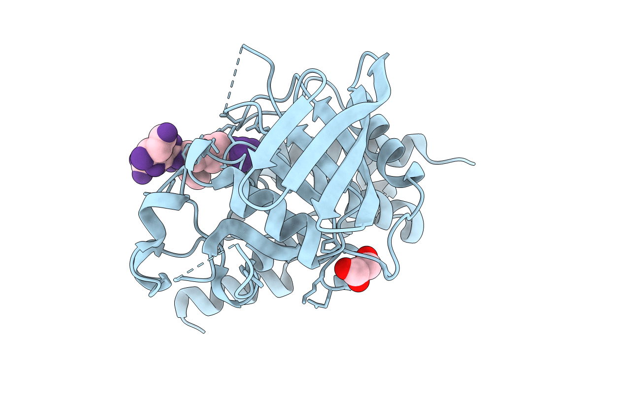 3D44 image
