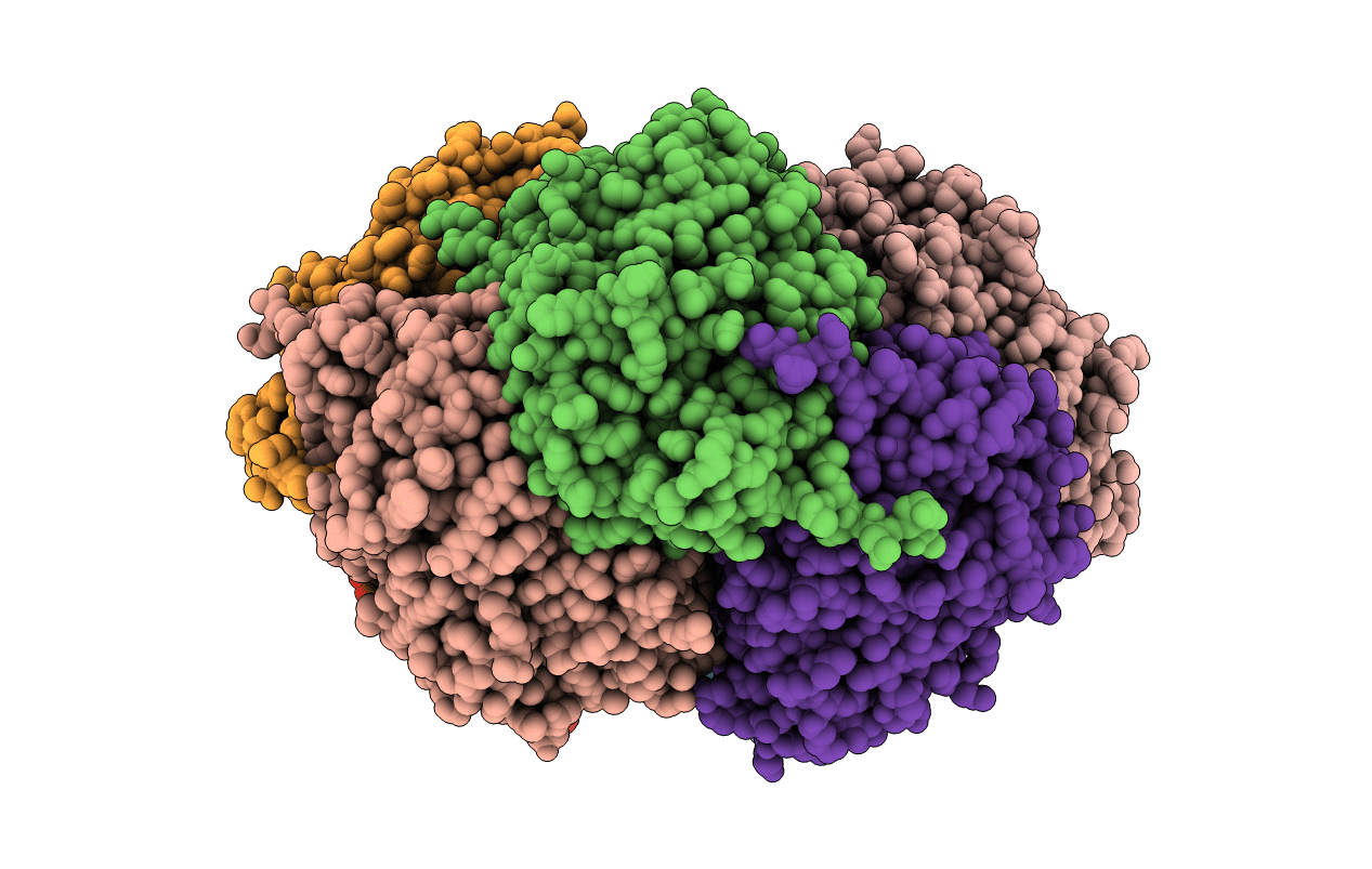 3D46 image