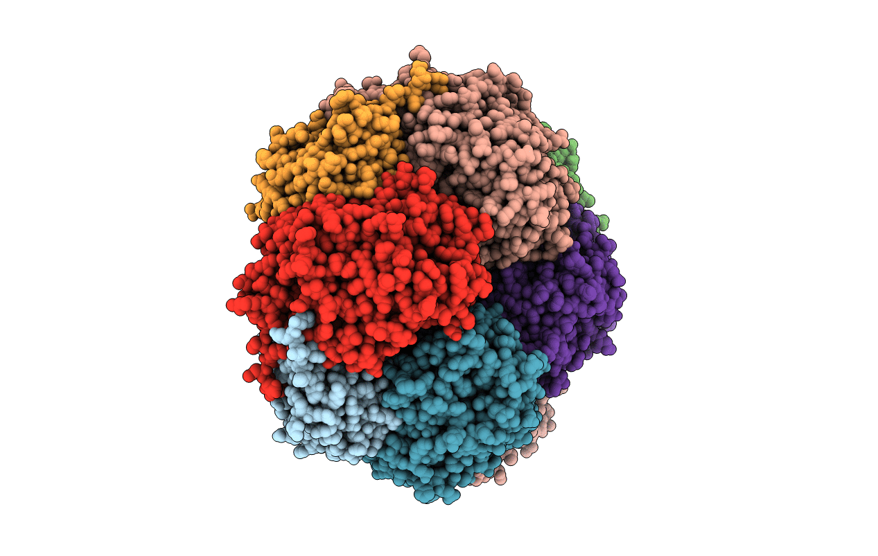 3D47 image