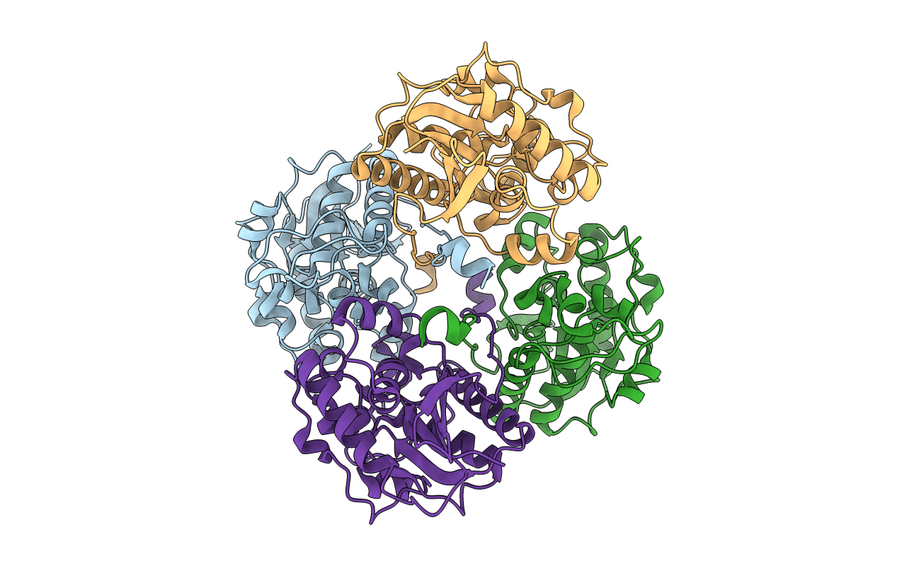 3D4I image
