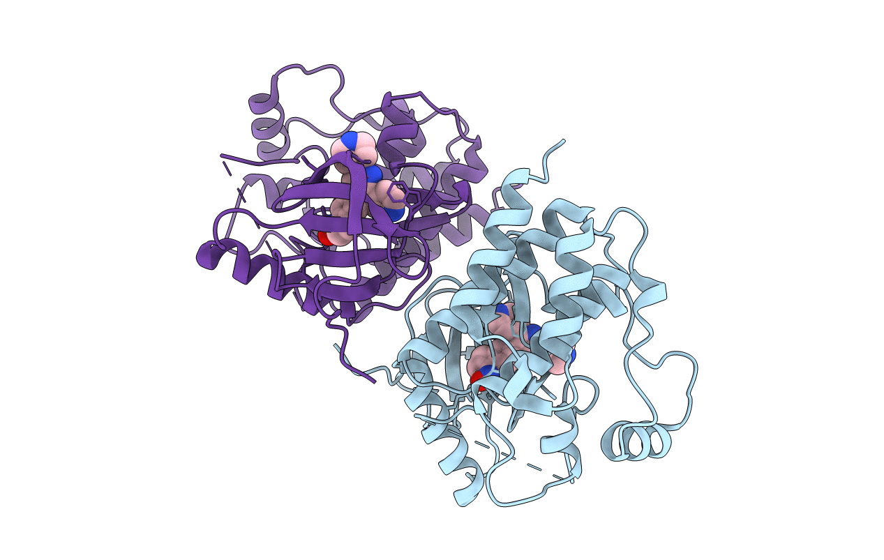 3D4Q image