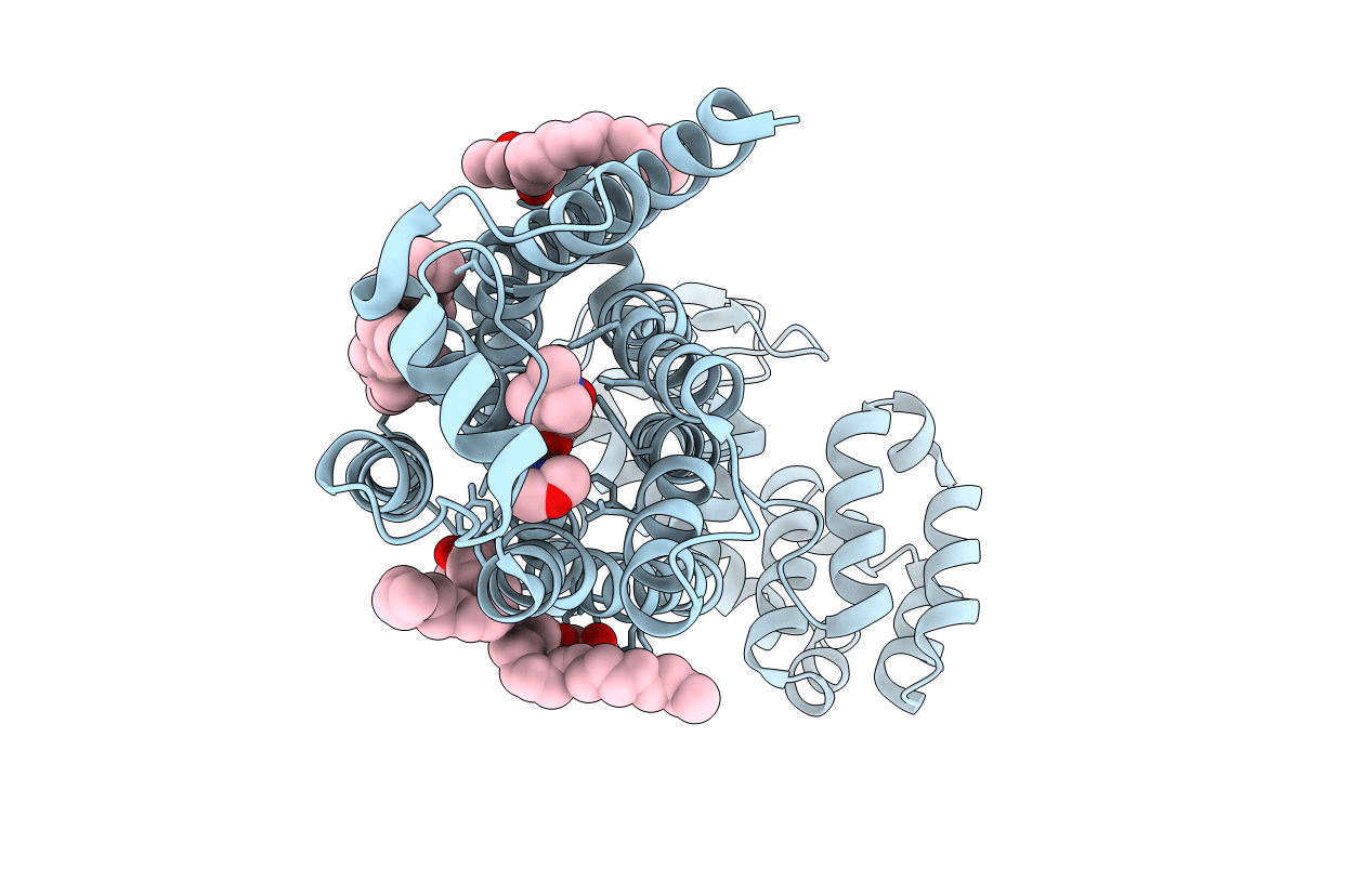 3D4S image