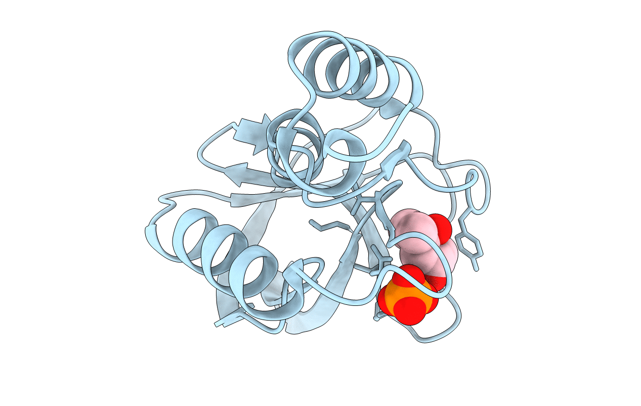 3D4W image