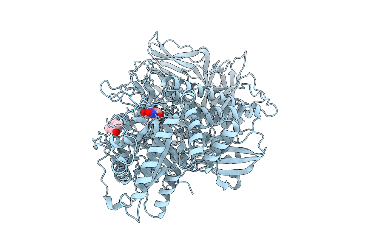 3D51 image