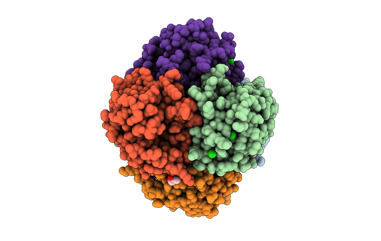 3D53 image