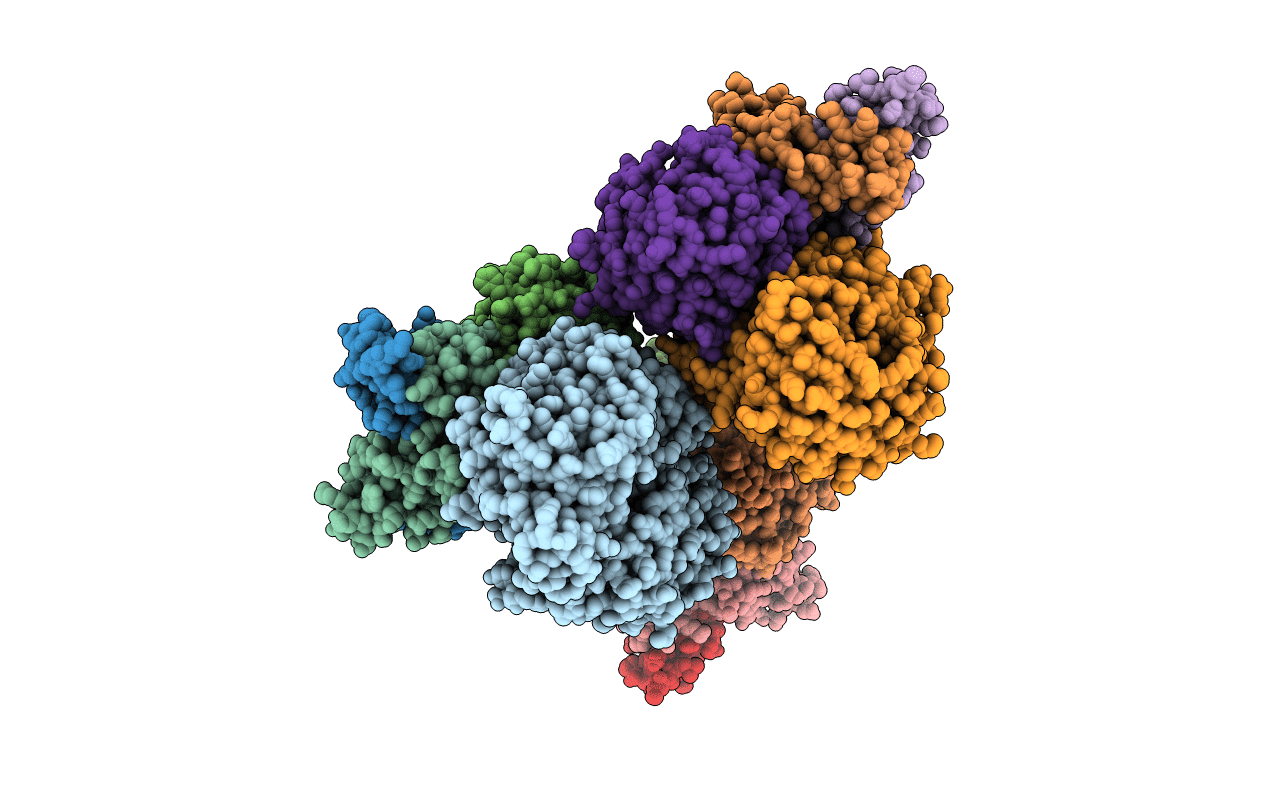 3D54 image