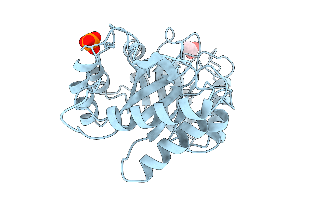 3D5H image