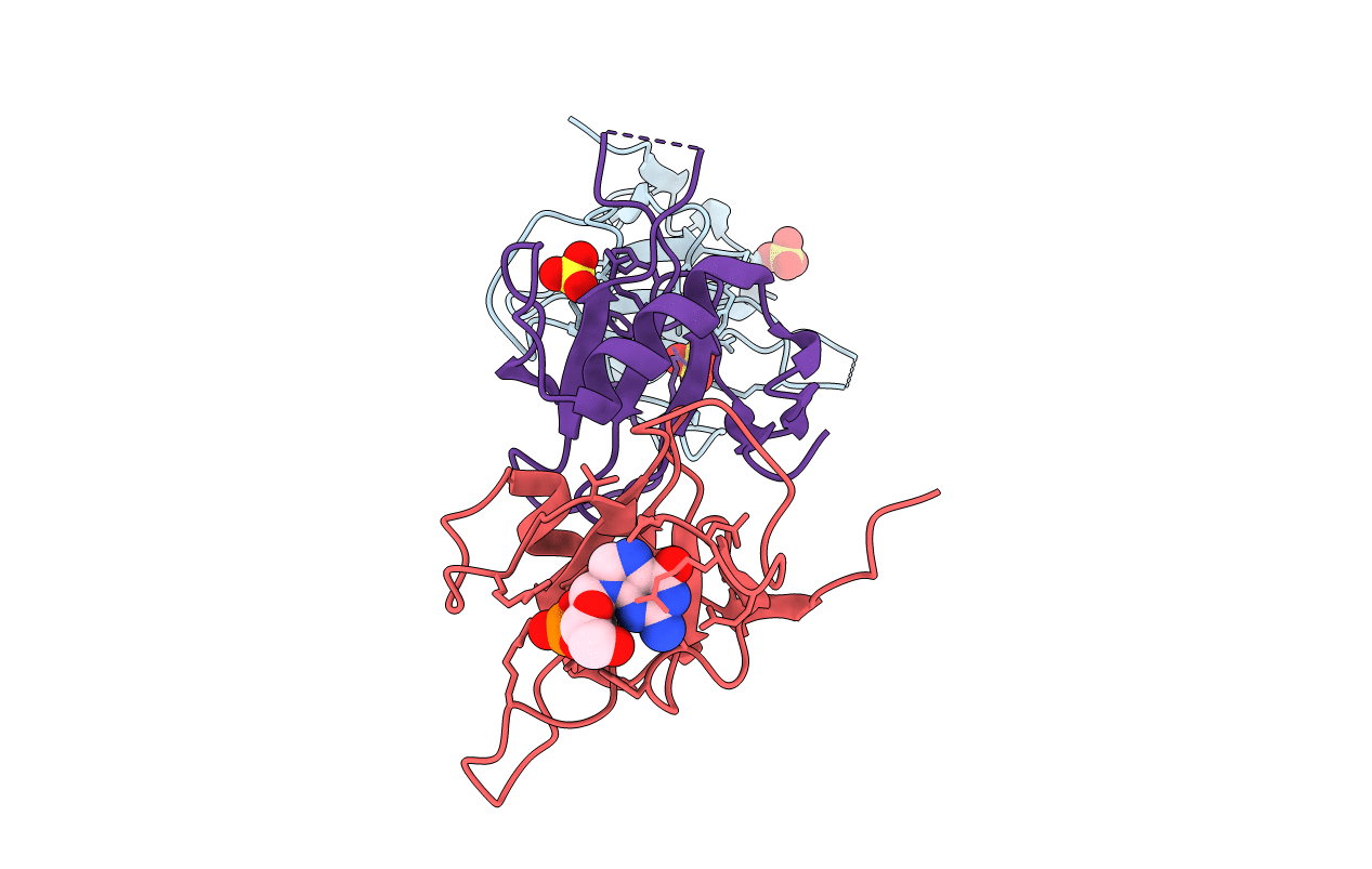 3D5I image