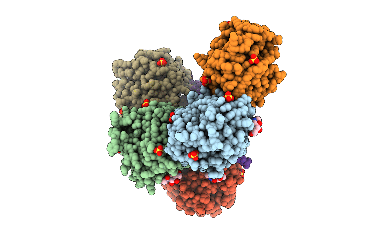 3D5O image