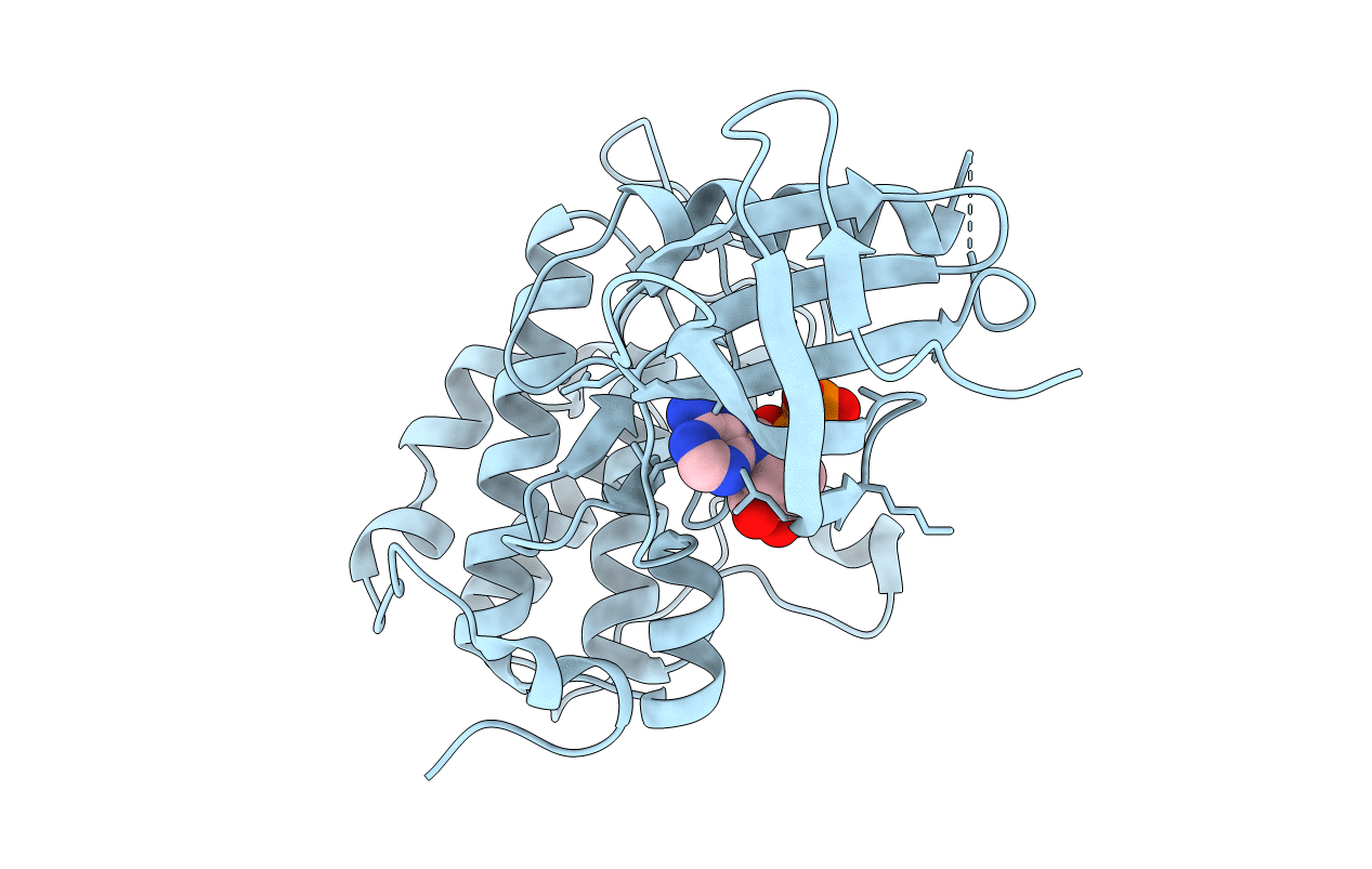 3d5w image