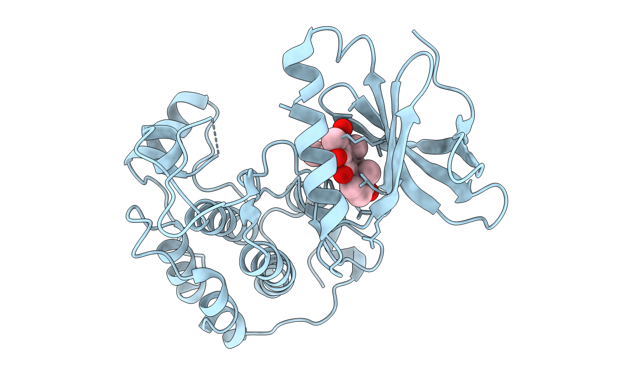 3D5X image