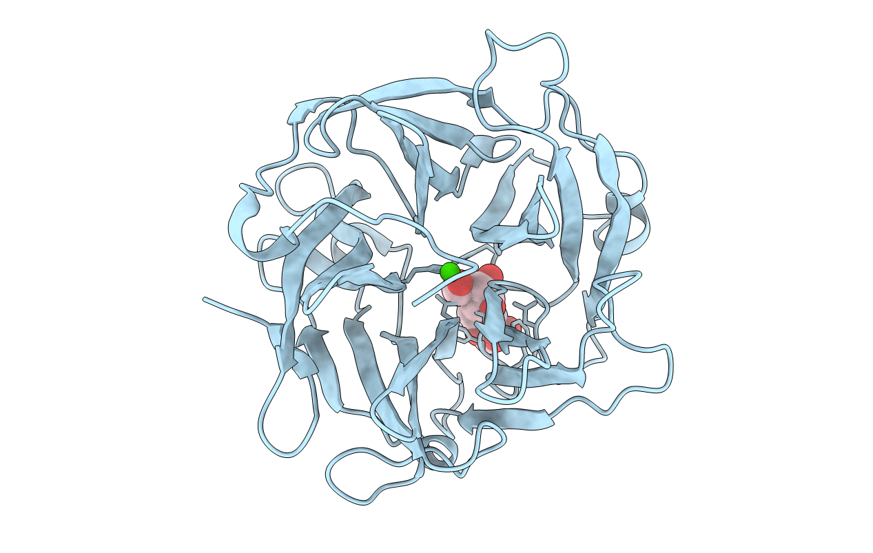 3D61 image