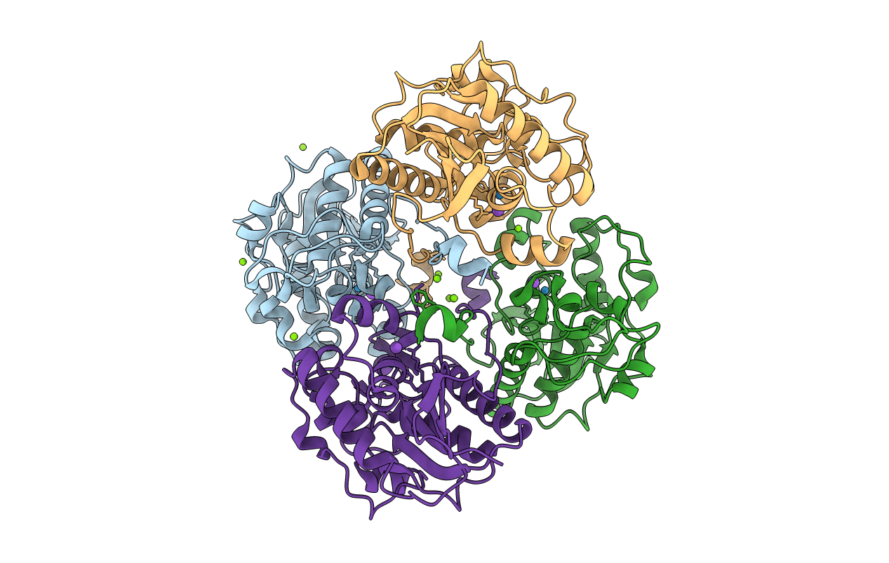 3D6A image