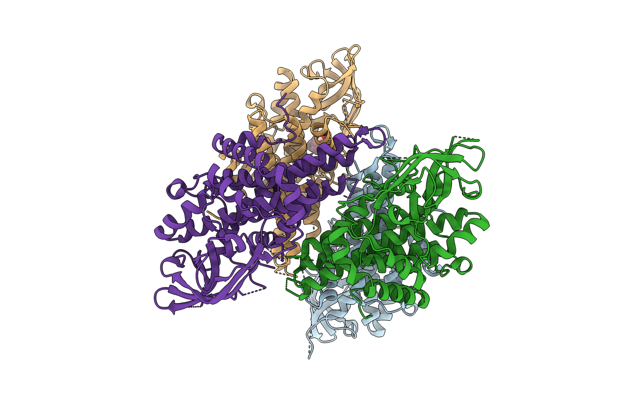 3d6B image