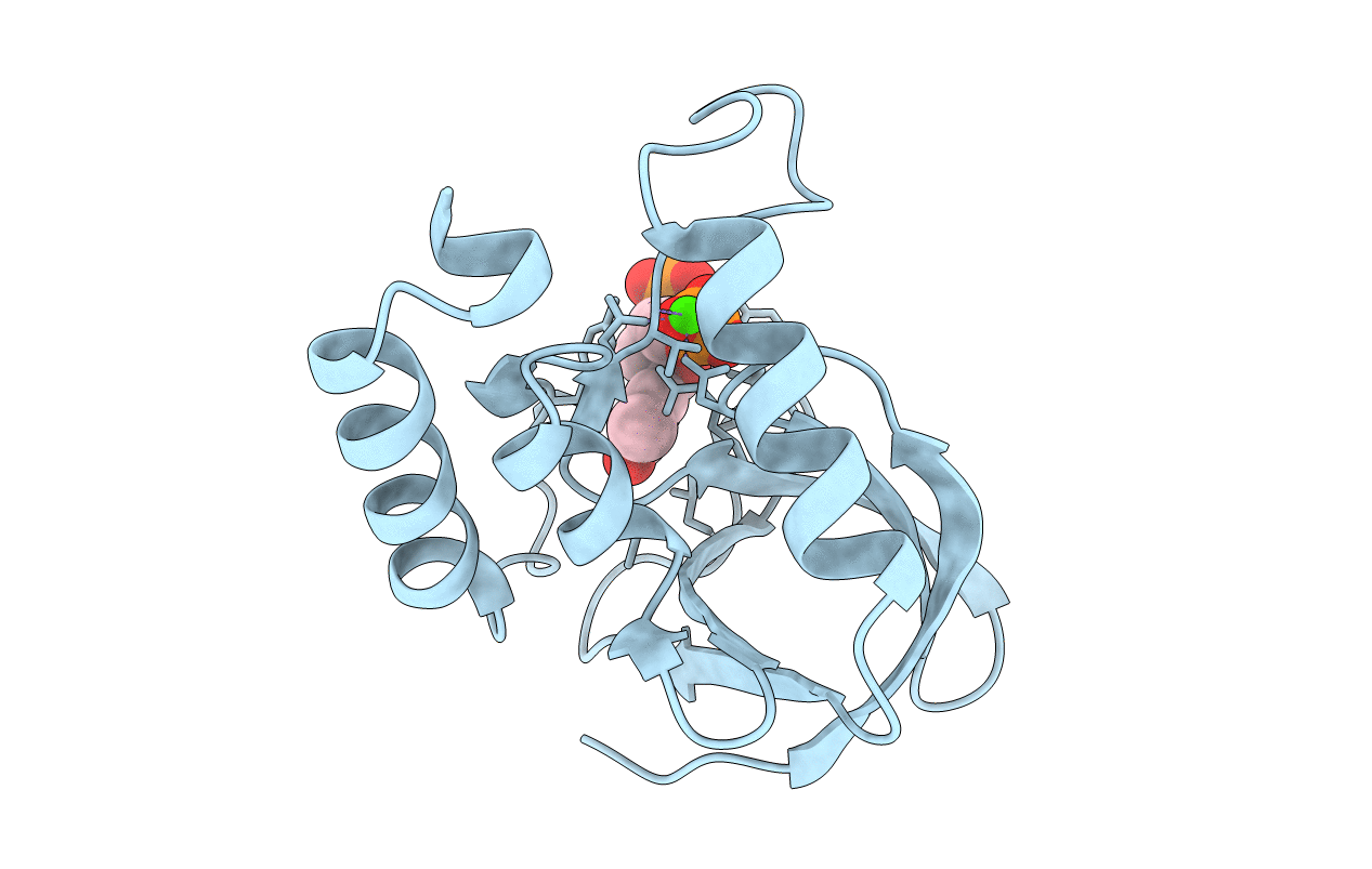 3d6c image