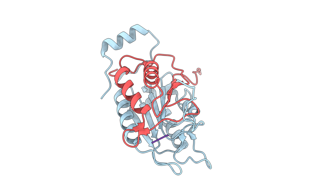 3D6H image