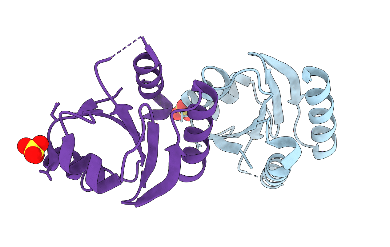 3D6I image