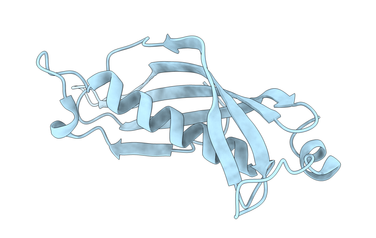 3D6L image