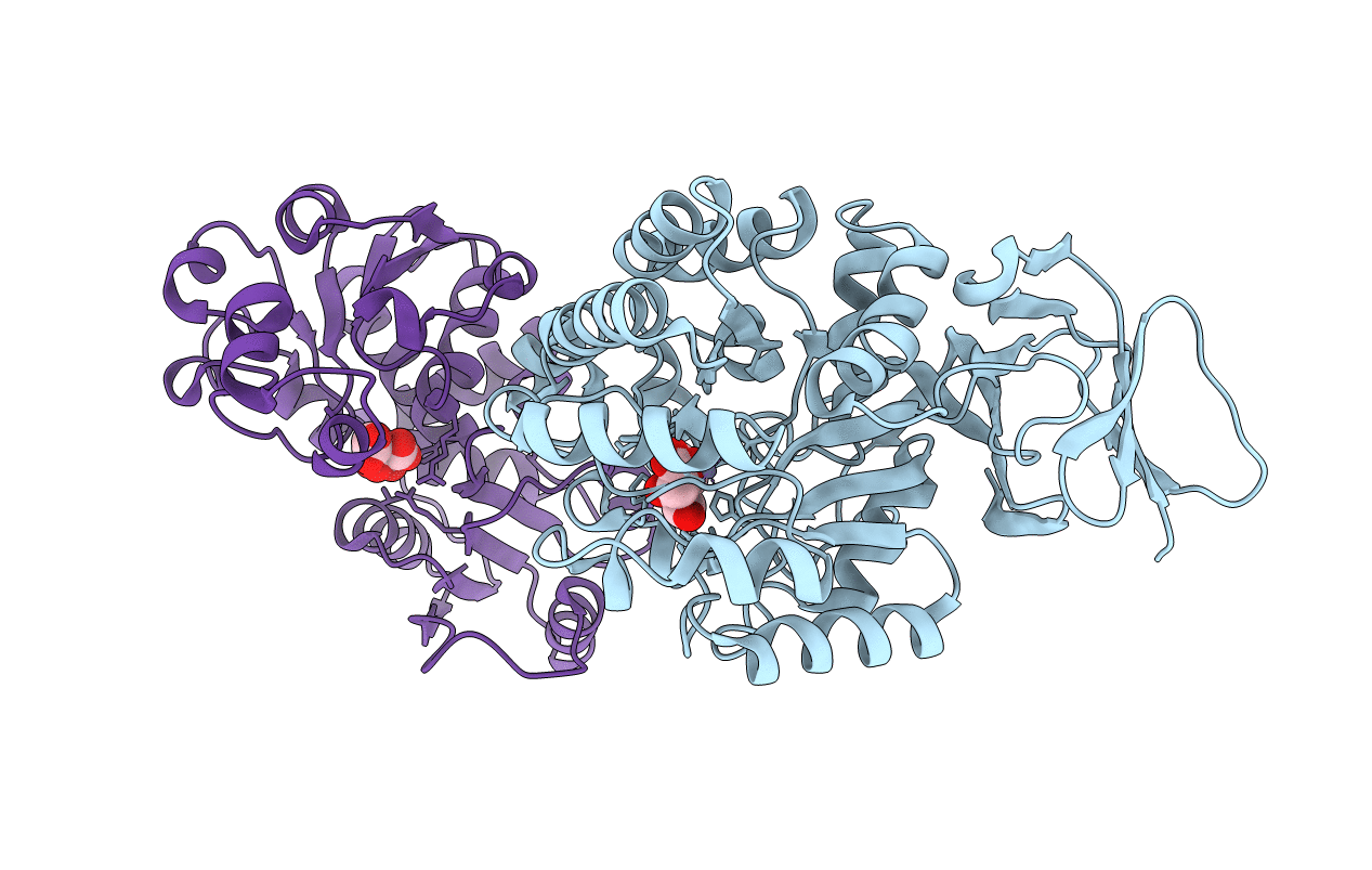 3D6N image