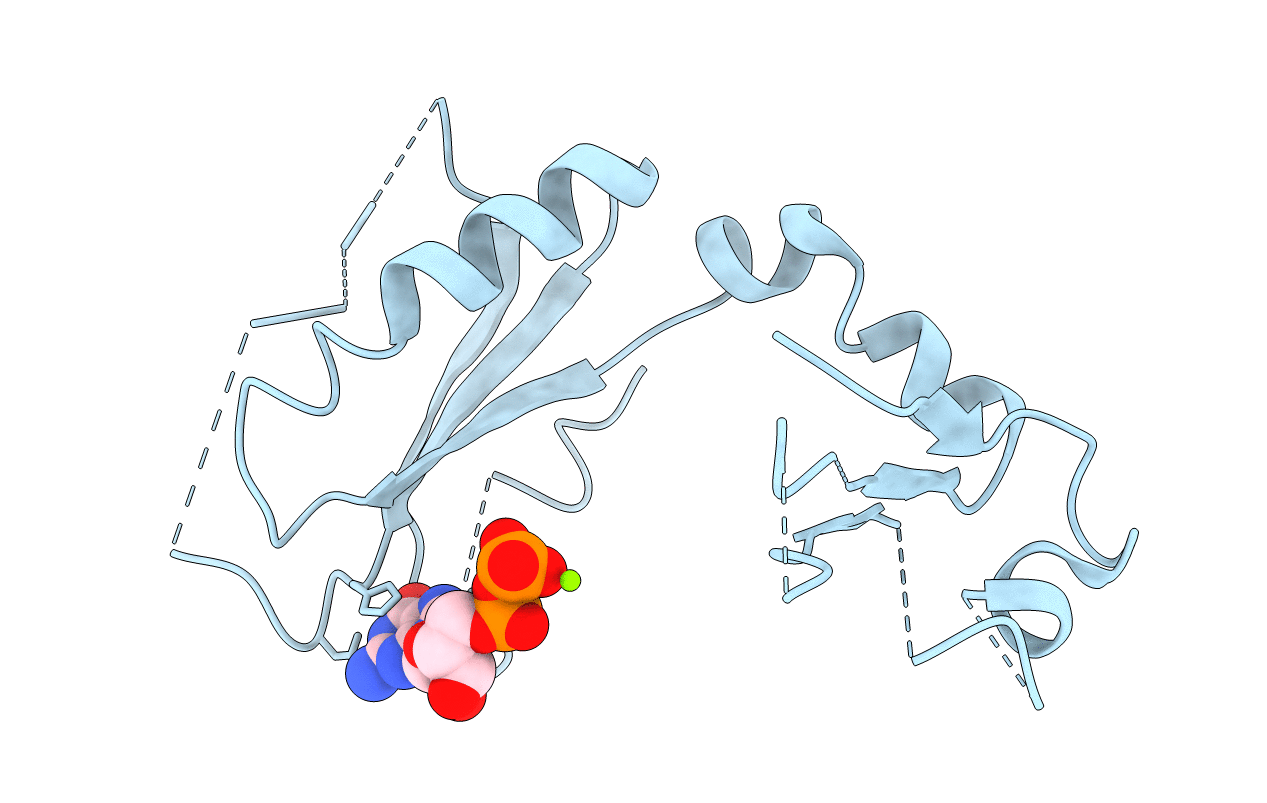 3D6T image