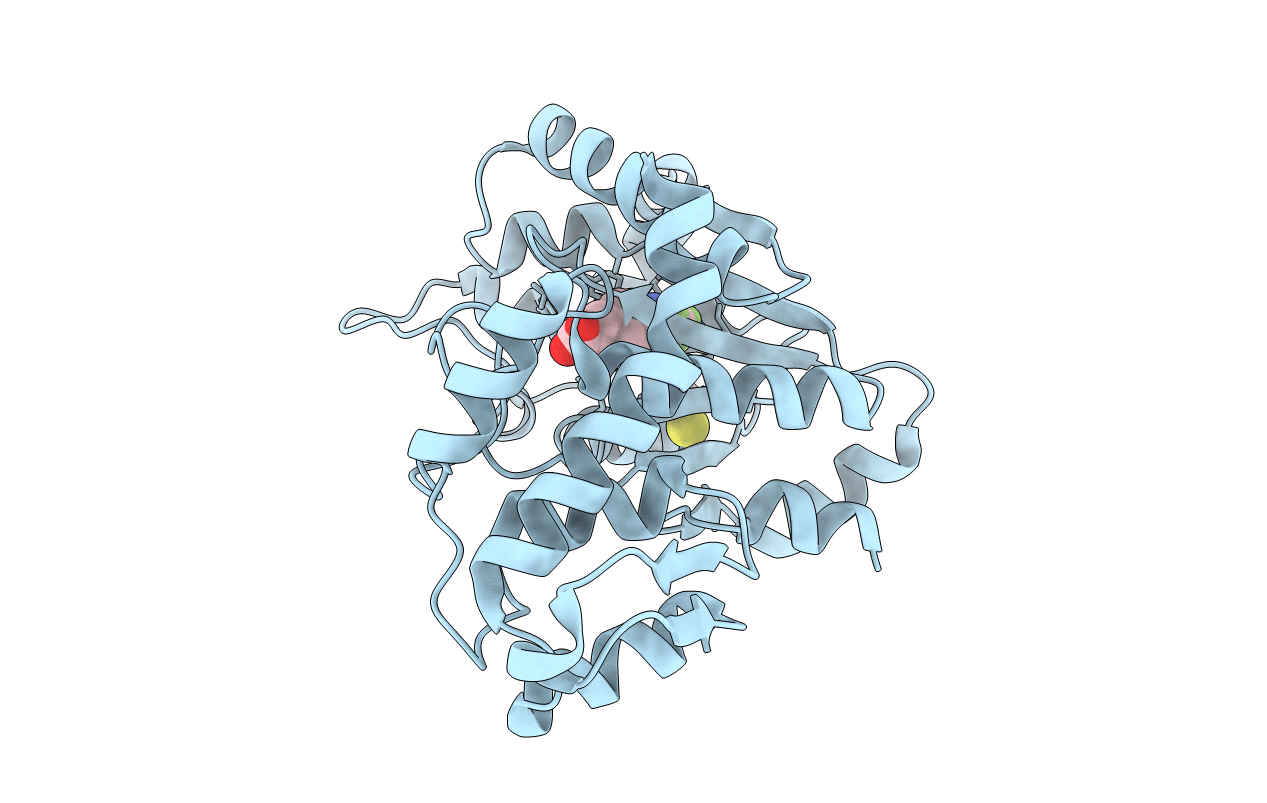 3d6u image