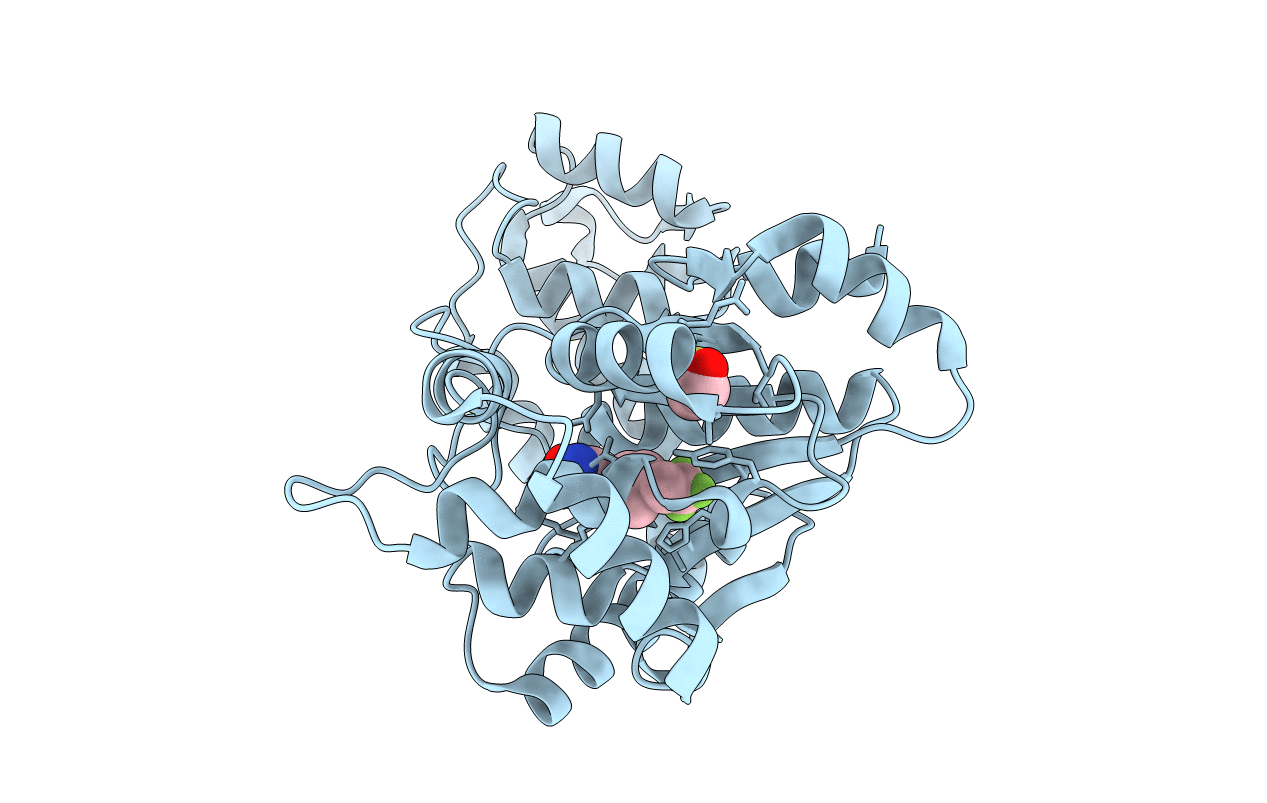 3d6v image