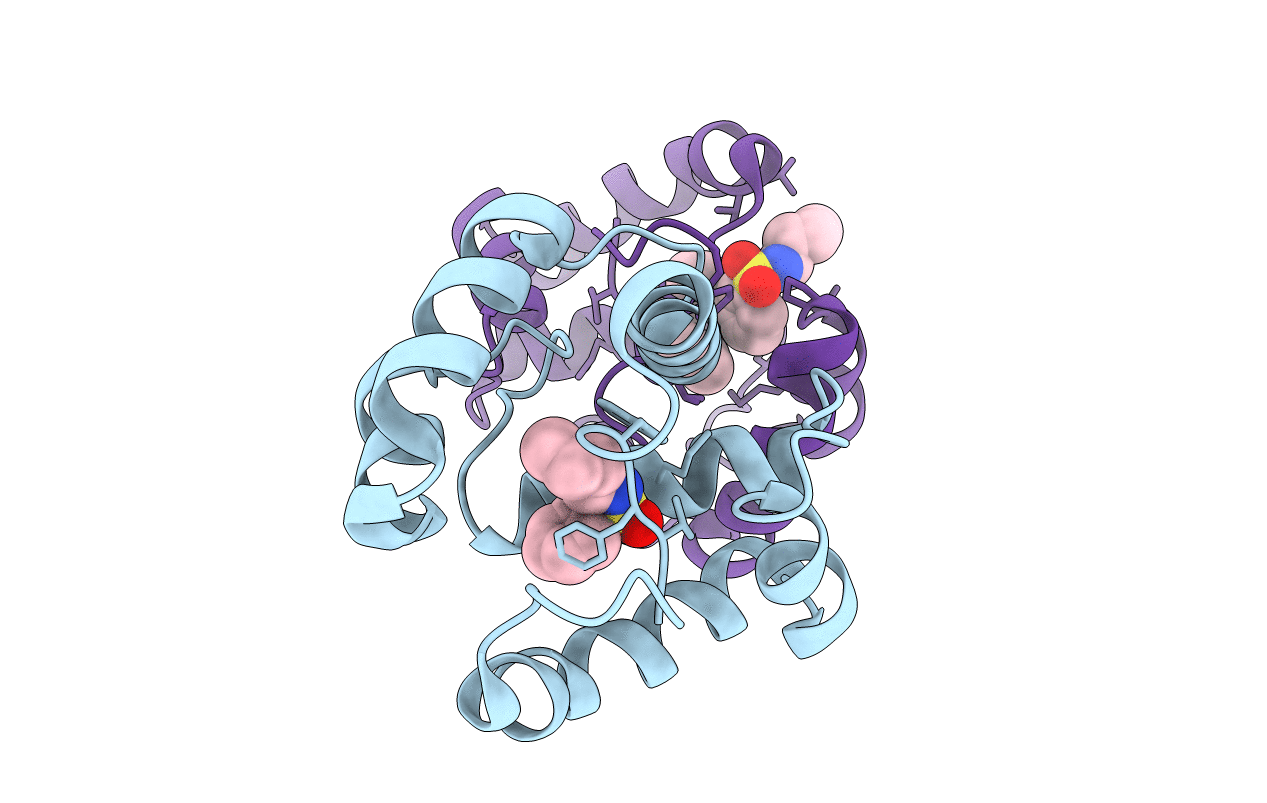3D73 image