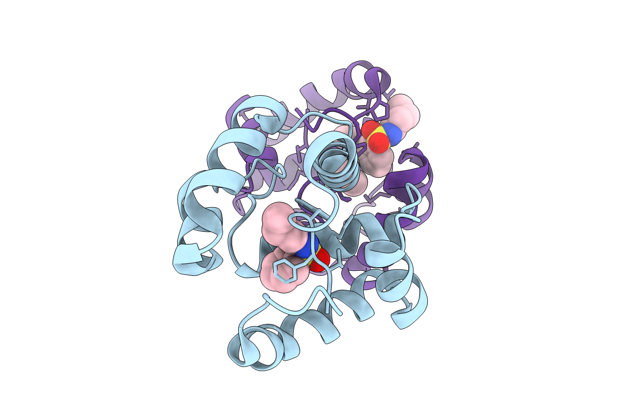 3D74 image