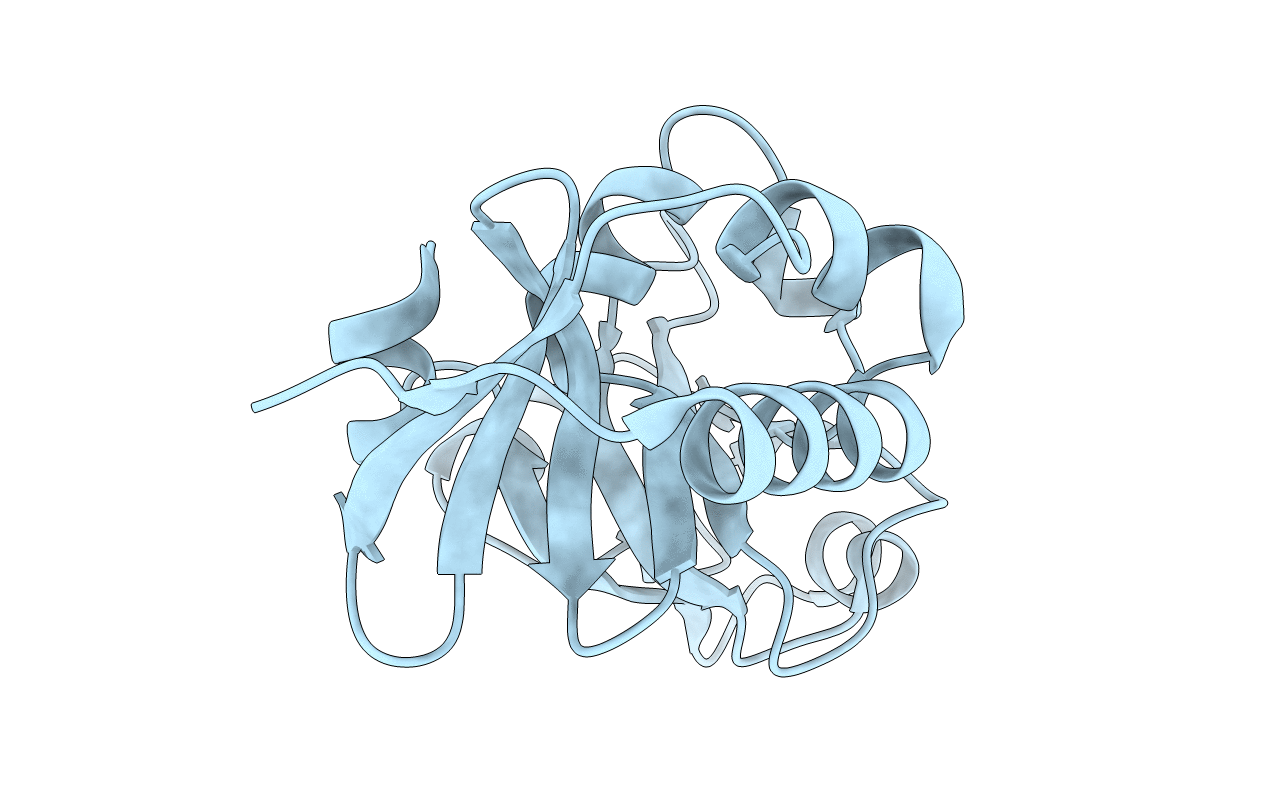 3D79 image