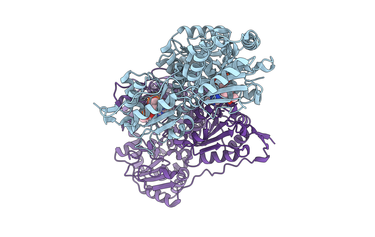 3D7K image