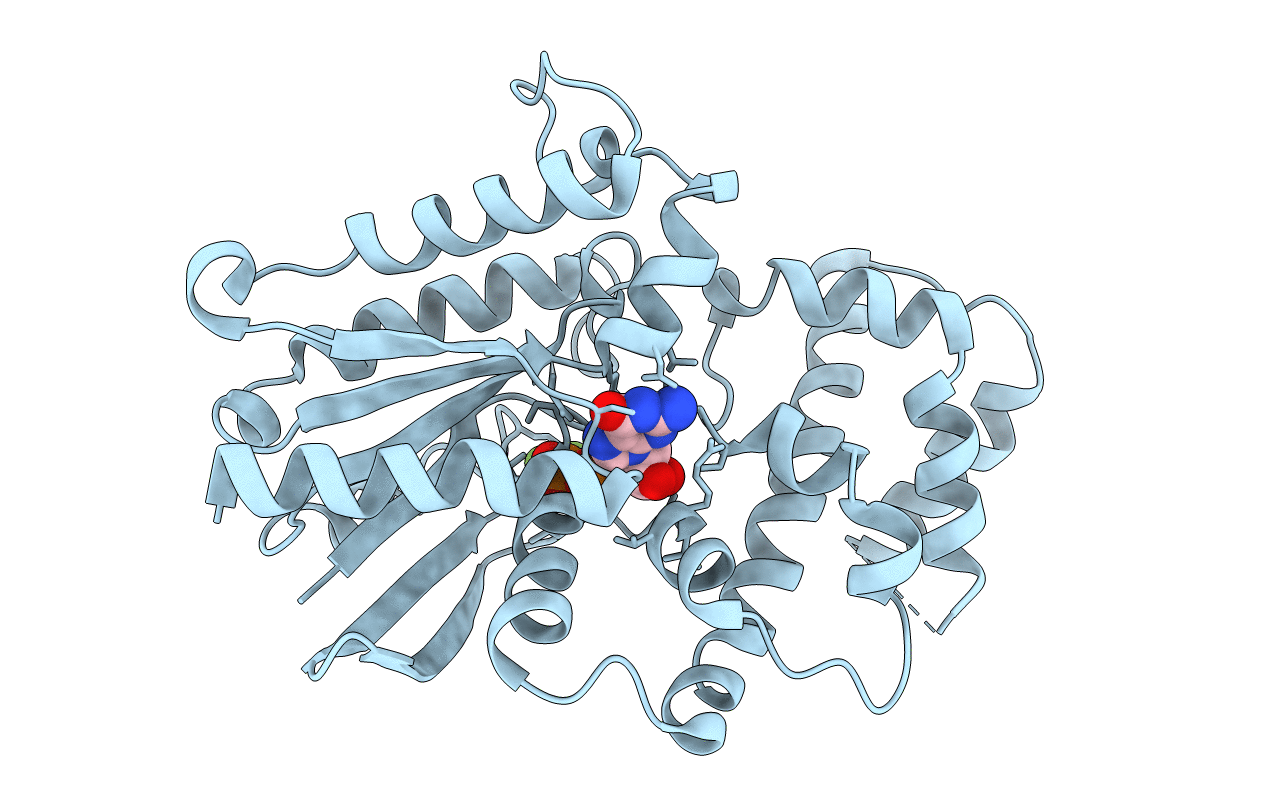 3D7M image