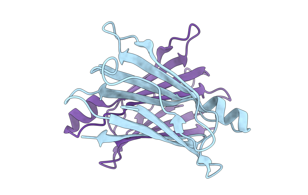 3D7P image