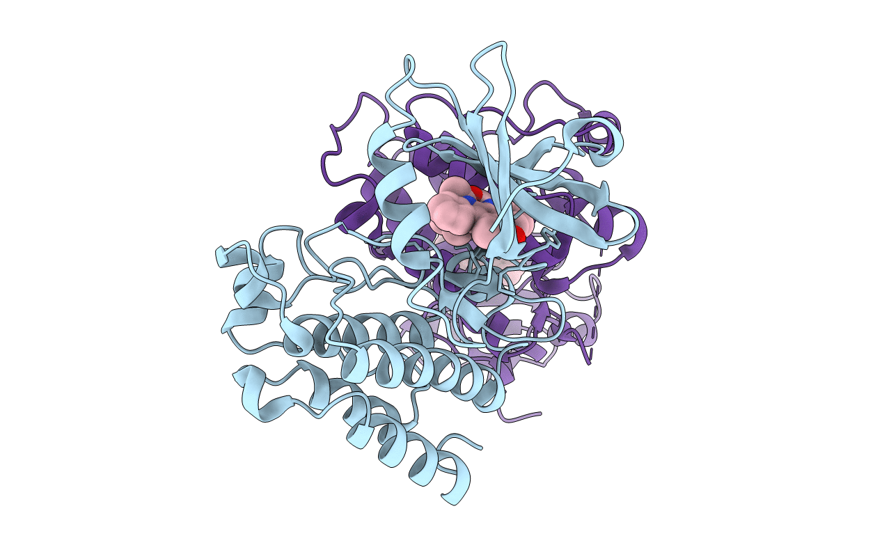 3D7T image