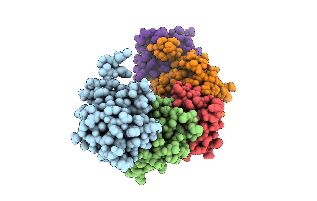 3D82 image