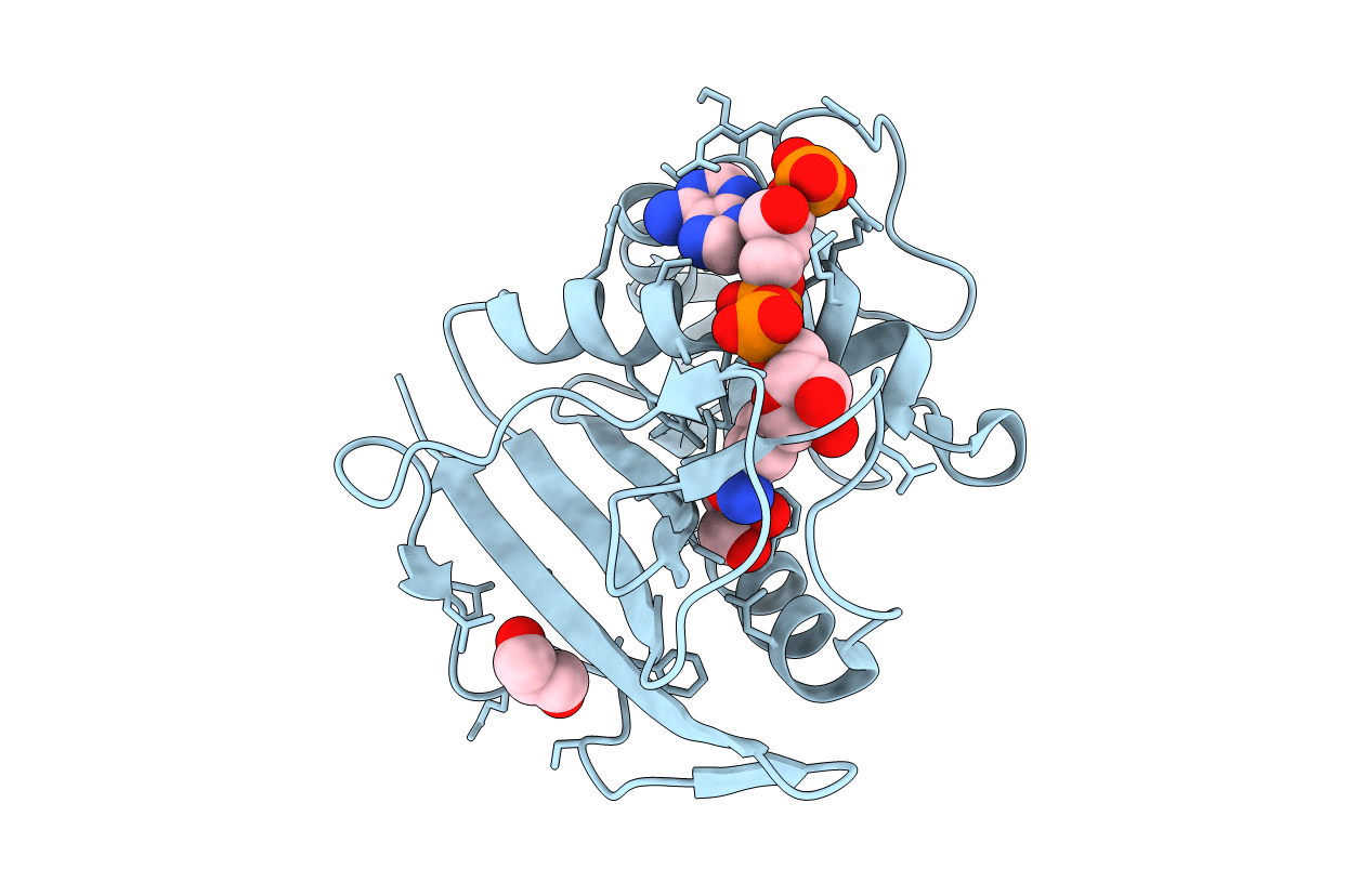 3D84 image