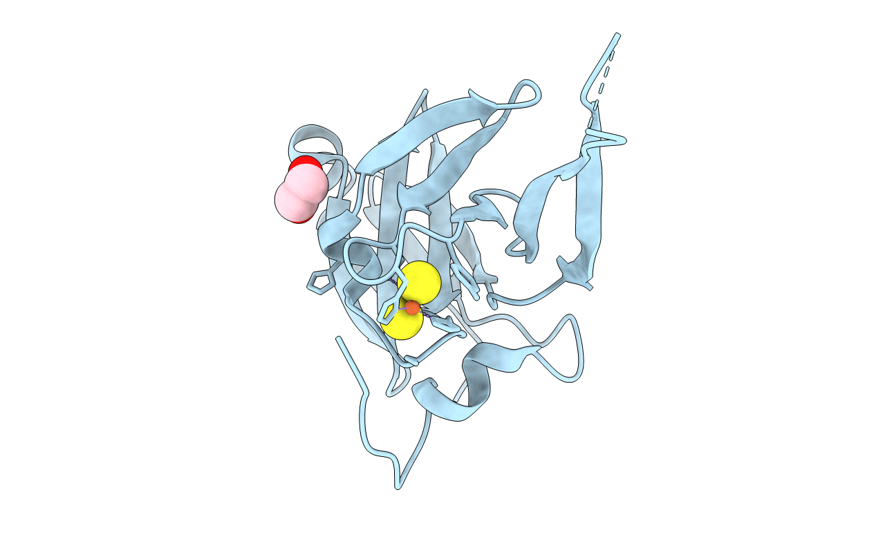 3D89 image