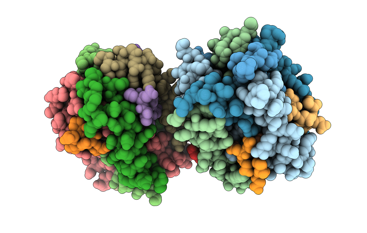 3D8A image