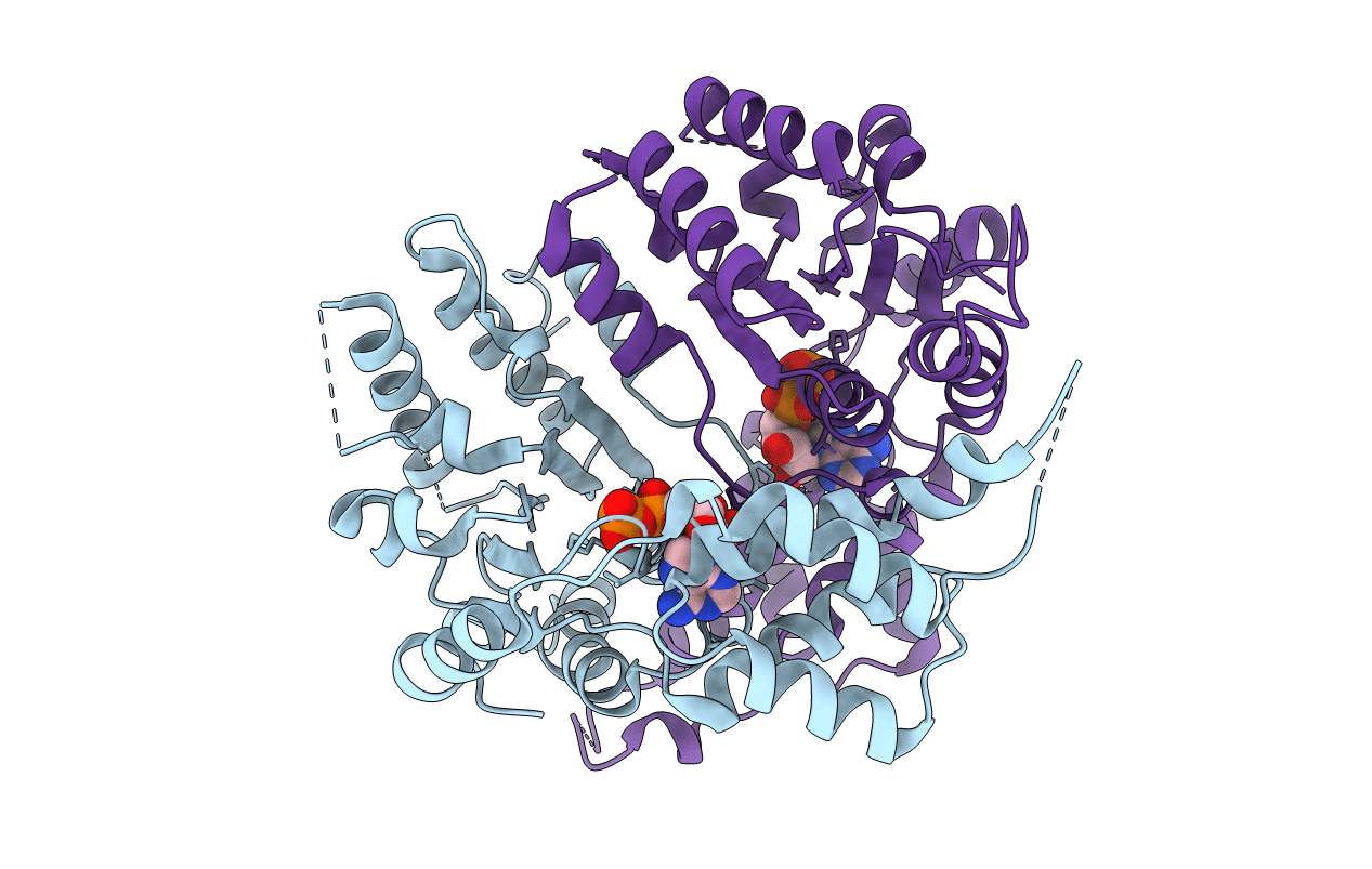 3D8B image