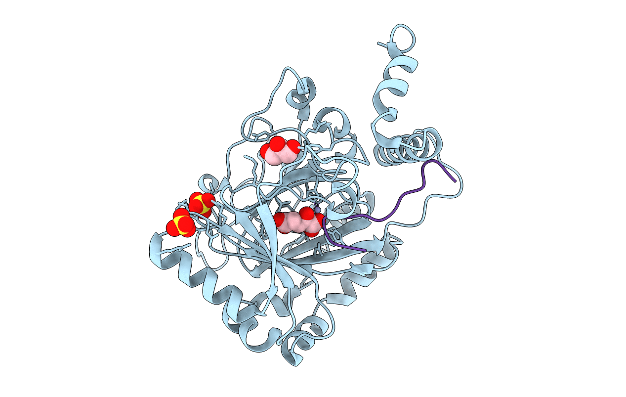 3D8C image