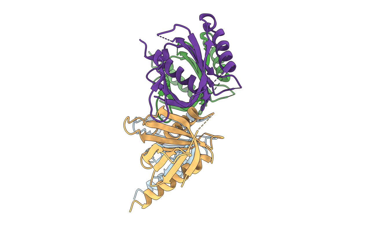 3D8E image