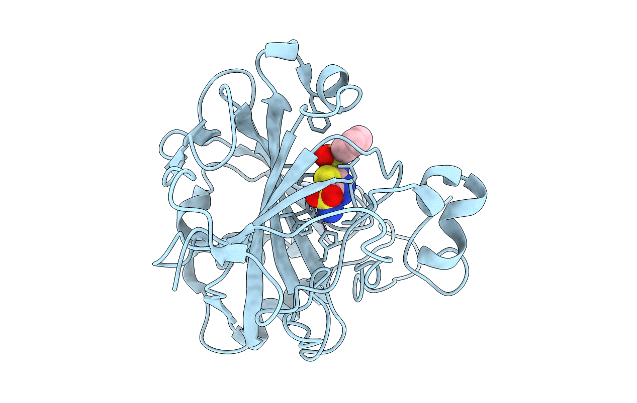 3D8W image