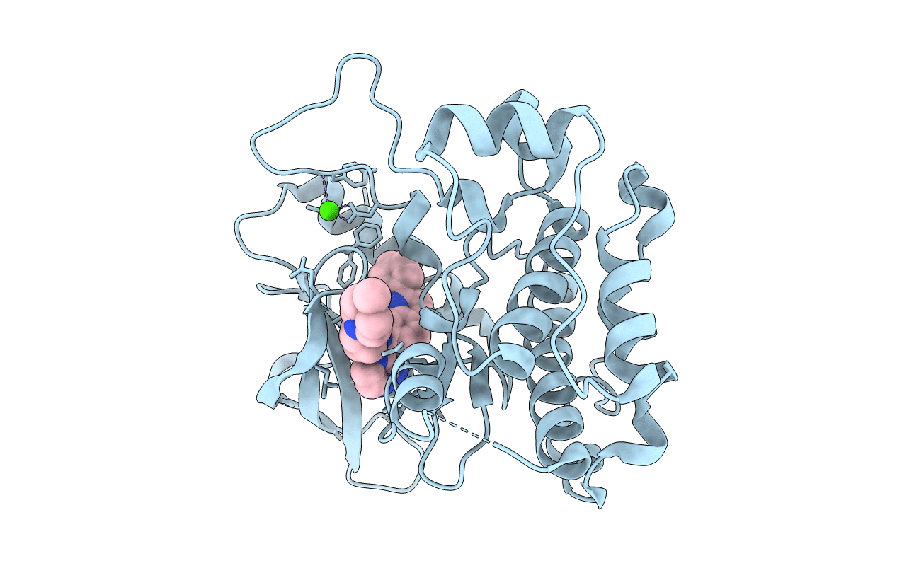 3D94 image