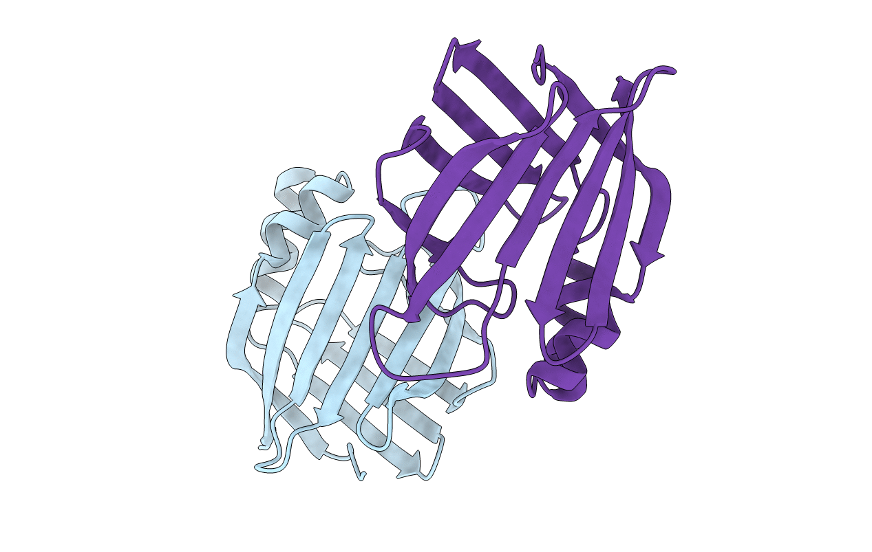 3d95 image