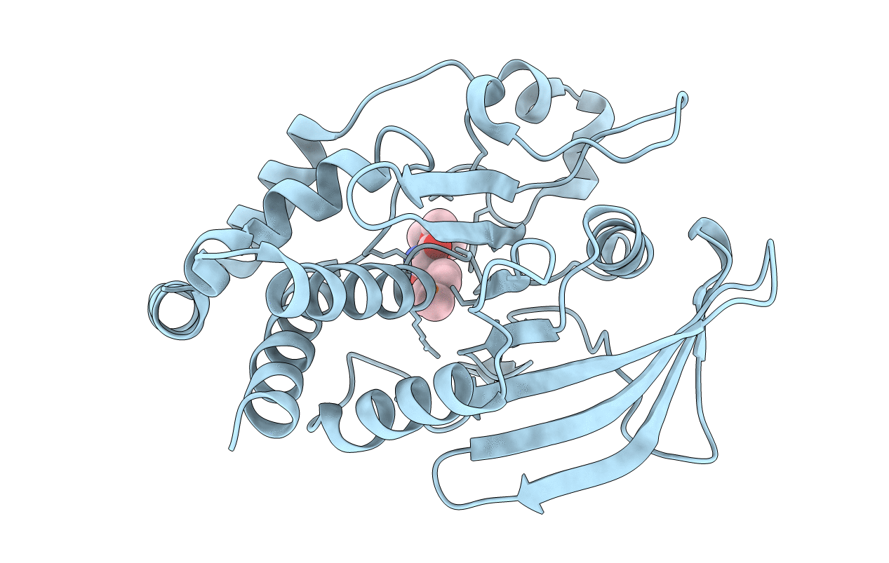 3D9C image