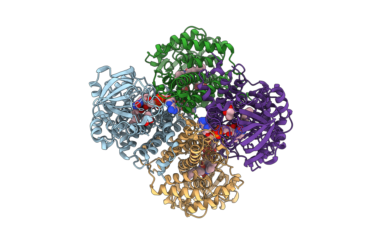 3D9E image