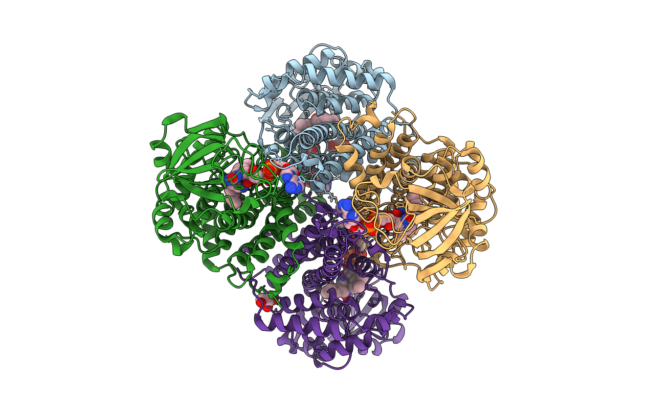 3D9G image