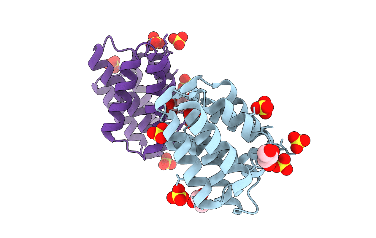 3D9I image