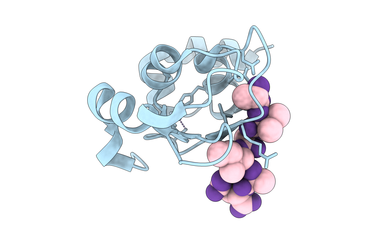 3D9U image